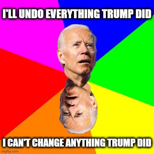 So which is it?! | I'LL UNDO EVERYTHING TRUMP DID; I CAN'T CHANGE ANYTHING TRUMP DID | image tagged in memes,joe biden,senile creep,trump,afghanistan | made w/ Imgflip meme maker