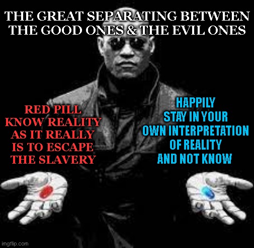 The great Dividing of the Wolves & the Lambs | THE GREAT SEPARATING BETWEEN THE GOOD ONES & THE EVIL ONES; RED PILL KNOW REALITY AS IT REALLY IS TO ESCAPE THE SLAVERY; HAPPILY STAY IN YOUR OWN INTERPRETATION OF REALITY AND NOT KNOW | image tagged in god,saw,what happened,too much,darkness | made w/ Imgflip meme maker