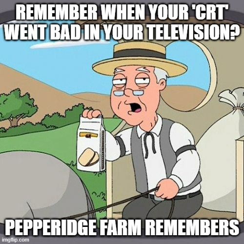 Used to stand for something other than the present definition |  REMEMBER WHEN YOUR 'CRT' WENT BAD IN YOUR TELEVISION? PEPPERIDGE FARM REMEMBERS | image tagged in memes,pepperidge farm remembers,words,meaning,changes,hmmm | made w/ Imgflip meme maker
