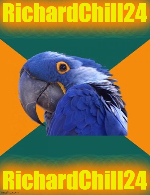 Paranoid Parrot Meme | RichardChill24 RichardChill24 | image tagged in memes,paranoid parrot | made w/ Imgflip meme maker