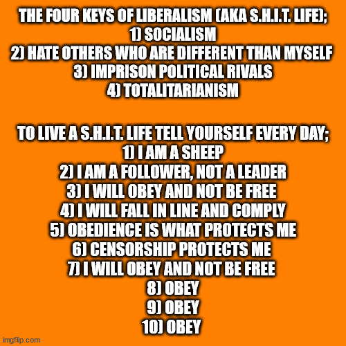 Orange square  | THE FOUR KEYS OF LIBERALISM (AKA S.H.I.T. LIFE);
1) SOCIALISM
2) HATE OTHERS WHO ARE DIFFERENT THAN MYSELF 
3) IMPRISON POLITICAL RIVALS
4) TOTALITARIANISM; TO LIVE A S.H.I.T. LIFE TELL YOURSELF EVERY DAY;
1) I AM A SHEEP
2) I AM A FOLLOWER, NOT A LEADER
3) I WILL OBEY AND NOT BE FREE 
4) I WILL FALL IN LINE AND COMPLY
5) OBEDIENCE IS WHAT PROTECTS ME
6) CENSORSHIP PROTECTS ME 
7) I WILL OBEY AND NOT BE FREE 
8) OBEY
9) OBEY
10) OBEY | image tagged in orange square,keys to liberal life | made w/ Imgflip meme maker
