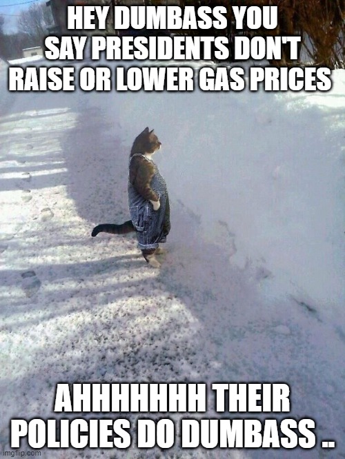 SMART CAT SMARTER THEN DEMrats | HEY DUMBASS YOU SAY PRESIDENTS DON'T RAISE OR LOWER GAS PRICES; AHHHHHHH THEIR POLICIES DO DUMBASS .. | image tagged in cat standing in overalls | made w/ Imgflip meme maker