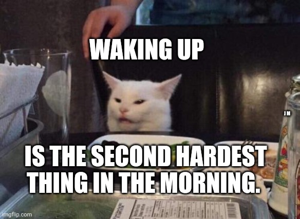Salad cat | WAKING UP; J M; IS THE SECOND HARDEST THING IN THE MORNING. | image tagged in salad cat | made w/ Imgflip meme maker