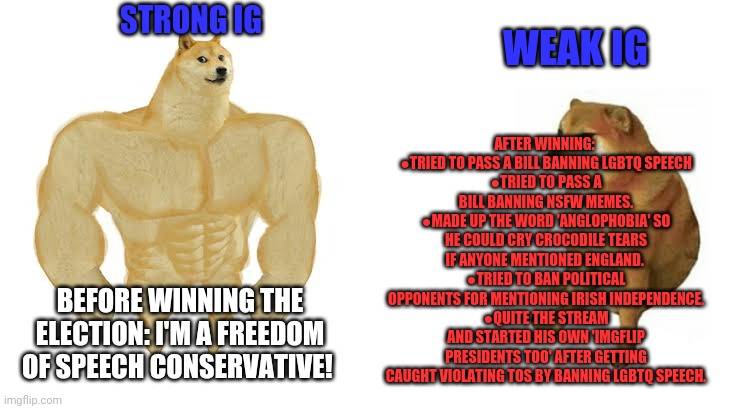 The good king's terrible record on speech speaks for itself! | BEFORE WINNING THE ELECTION: I'M A FREEDOM OF SPEECH CONSERVATIVE! AFTER WINNING: 
●TRIED TO PASS A BILL BANNING LGBTQ SPEECH
●TRIED TO PASS | image tagged in strong doge weak doge,incognito,only supports free speech,for incognito,vote,pepe the frog | made w/ Imgflip meme maker