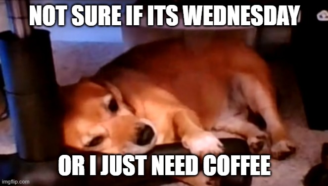 Butchie Tired | NOT SURE IF ITS WEDNESDAY; OR I JUST NEED COFFEE | image tagged in wednesday,tired,hump day,no more | made w/ Imgflip meme maker