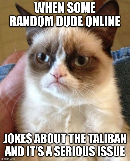 Taliban is nothing to joke about | WHEN SOME RANDOM DUDE ONLINE; JOKES ABOUT THE TALIBAN AND IT'S A SERIOUS ISSUE | image tagged in memes,grumpy cat,cats | made w/ Imgflip meme maker