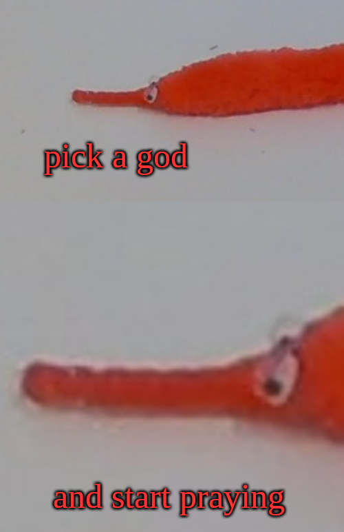 Pick a god Blank Meme Template