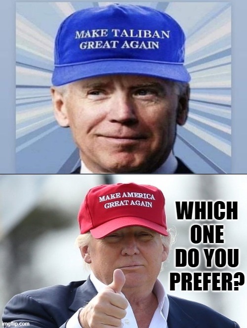 Which one do you prefer? |  WHICH ONE DO YOU PREFER? | image tagged in donald trump,creepy joe biden | made w/ Imgflip meme maker