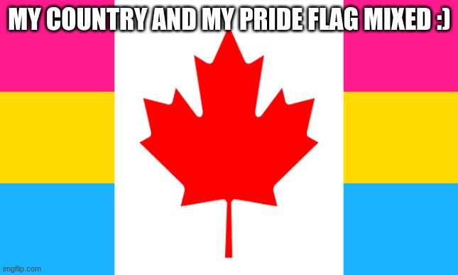 :D | MY COUNTRY AND MY PRIDE FLAG MIXED :) | made w/ Imgflip meme maker