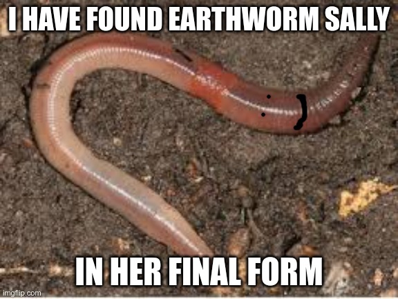 earthworm | I HAVE FOUND EARTHWORM SALLY; IN HER FINAL FORM | image tagged in earthworm,yo dawg heard you,earth,panik kalm panik,bad luck brian,batman slapping robin | made w/ Imgflip meme maker