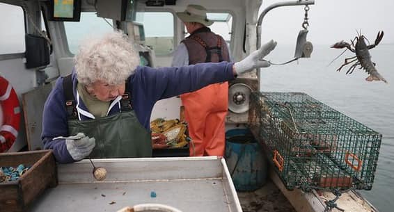 High Quality Old lady throwing lobster away Blank Meme Template