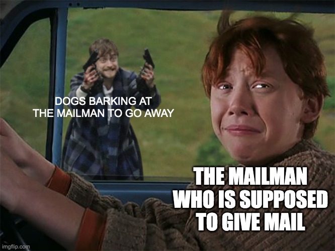Harry with guns, scared Ron | DOGS BARKING AT THE MAILMAN TO GO AWAY; THE MAILMAN WHO IS SUPPOSED TO GIVE MAIL | image tagged in harry with guns scared ron | made w/ Imgflip meme maker