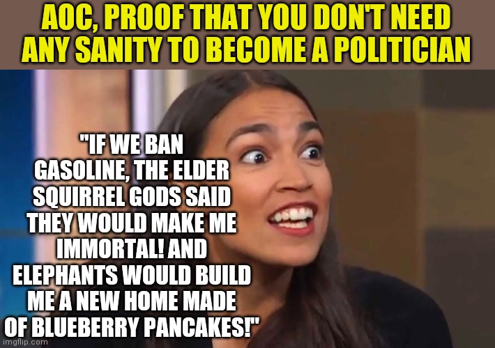 Madness, it comes in many forms | "IF WE BAN GASOLINE, THE ELDER SQUIRREL GODS SAID THEY WOULD MAKE ME IMMORTAL! AND ELEPHANTS WOULD BUILD ME A NEW HOME MADE OF BLUEBERRY PANCAKES!"; AOC, PROOF THAT YOU DON'T NEED ANY SANITY TO BECOME A POLITICIAN | image tagged in crazy aoc,hallucinate | made w/ Imgflip meme maker