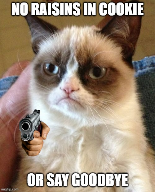 A very grumpy cat | NO RAISINS IN COOKIE; OR SAY GOODBYE | image tagged in memes,grumpy cat,cookie | made w/ Imgflip meme maker