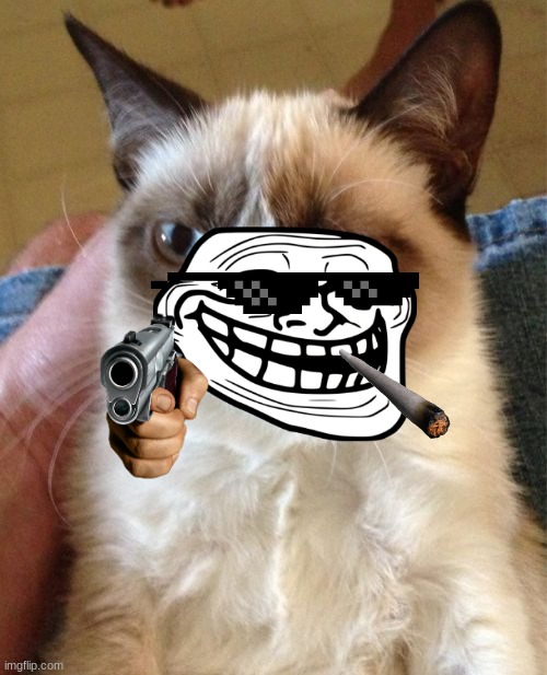 Grumpy Cat Meme | image tagged in memes,grumpy cat | made w/ Imgflip meme maker