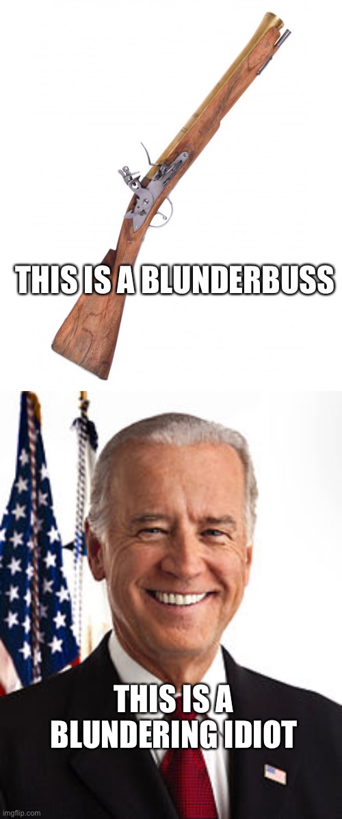 What’s the difference | THIS IS A BLUNDERBUSS; THIS IS A BLUNDERING IDIOT | image tagged in memes,joe biden | made w/ Imgflip meme maker