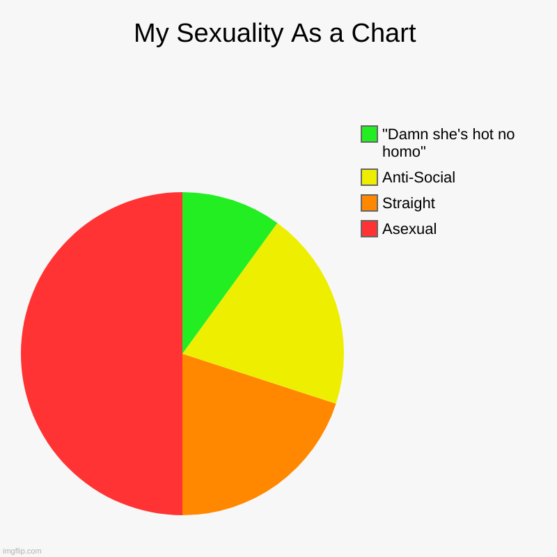 E | My Sexuality As a Chart | Asexual, Straight, Anti-Social, "Damn she's hot no homo" | image tagged in charts,pie charts | made w/ Imgflip chart maker