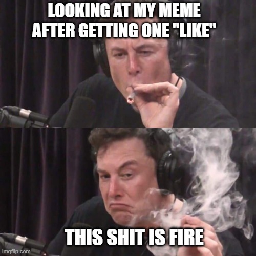 I'm so funny | LOOKING AT MY MEME AFTER GETTING ONE "LIKE"; THIS SHIT IS FIRE | image tagged in elon musk weed | made w/ Imgflip meme maker