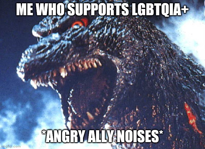 Angry Godzilla | ME WHO SUPPORTS LGBTQIA+ *ANGRY ALLY NOISES* | image tagged in angry godzilla | made w/ Imgflip meme maker