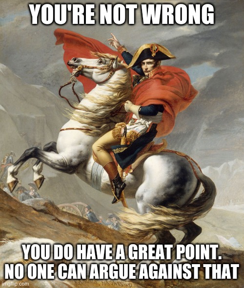 Napoleon Bonaparte on Horse | YOU'RE NOT WRONG YOU DO HAVE A GREAT POINT. NO ONE CAN ARGUE AGAINST THAT | image tagged in napoleon bonaparte on horse | made w/ Imgflip meme maker