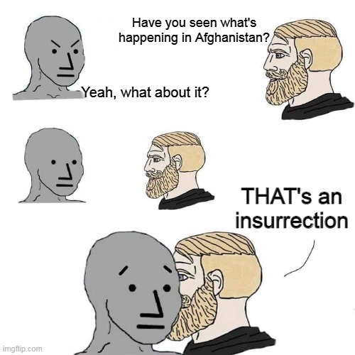 Only a liar or a fool thinks January 6th was an insurrection. | Have you seen what's happening in Afghanistan? Yeah, what about it? THAT's an insurrection | image tagged in chad approaching npc,democrats,january | made w/ Imgflip meme maker