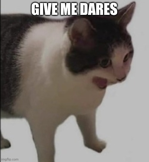 do it | GIVE ME DARES | image tagged in aaaaaaaaaaa | made w/ Imgflip meme maker