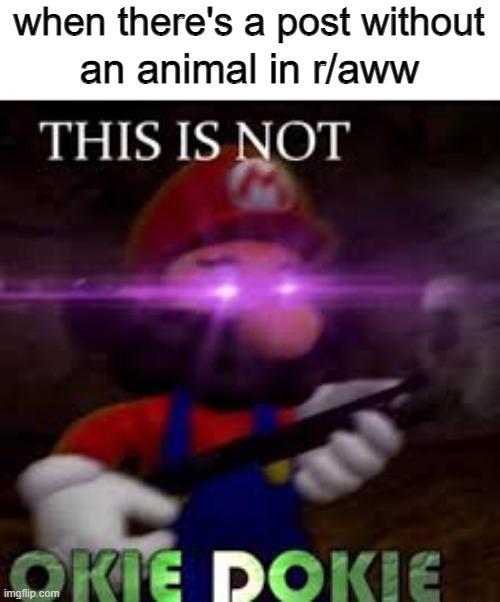it can't be just me | when there's a post without; an animal in r/aww | image tagged in this is not okie dokie | made w/ Imgflip meme maker