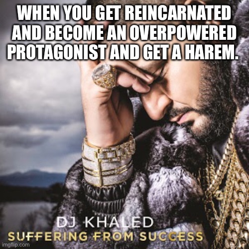 Suffering from Success | WHEN YOU GET REINCARNATED AND BECOME AN OVERPOWERED PROTAGONIST AND GET A HAREM. | image tagged in dj khaled suffering from success meme | made w/ Imgflip meme maker