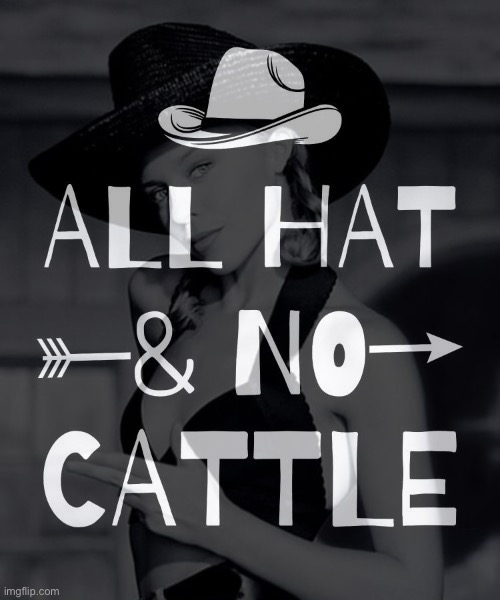 High Quality Kylie all hat no cattle Blank Meme Template