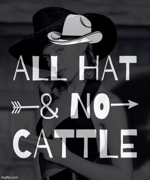 Kylie all hat no cattle | image tagged in kylie all hat no cattle | made w/ Imgflip meme maker