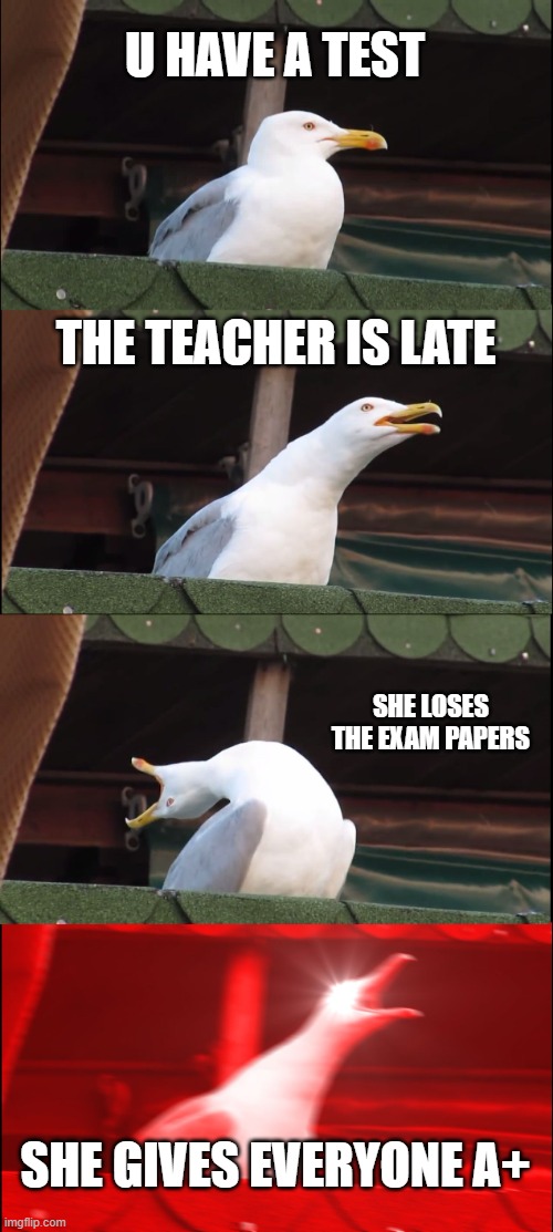 HAPP BOI(Got it from my bro) | U HAVE A TEST; THE TEACHER IS LATE; SHE LOSES THE EXAM PAPERS; SHE GIVES EVERYONE A+ | image tagged in memes,inhaling seagull | made w/ Imgflip meme maker