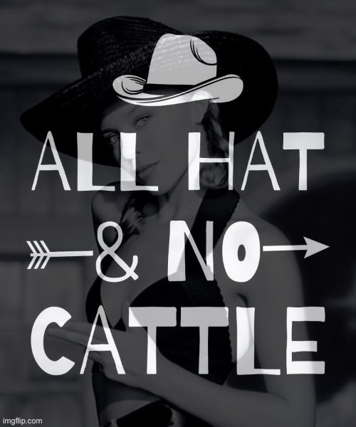 Kylie all hat no cattle | image tagged in kylie all hat no cattle | made w/ Imgflip meme maker