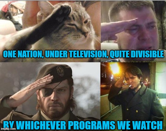 Ozon's Salute | ONE NATION, UNDER TELEVISION, QUITE DIVISIBLE; BY WHICHEVER PROGRAMS WE WATCH | image tagged in ozon's salute | made w/ Imgflip meme maker