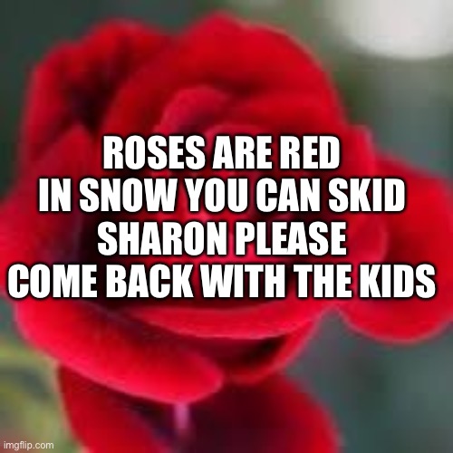 roses are red | ROSES ARE RED
IN SNOW YOU CAN SKID
SHARON PLEASE COME BACK WITH THE KIDS | image tagged in roses are red,memes | made w/ Imgflip meme maker