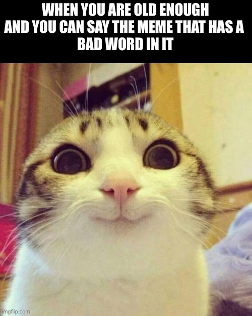 Noice | WHEN YOU ARE OLD ENOUGH
AND YOU CAN SAY THE MEME THAT HAS A 
BAD WORD IN IT | image tagged in memes,smiling cat | made w/ Imgflip meme maker