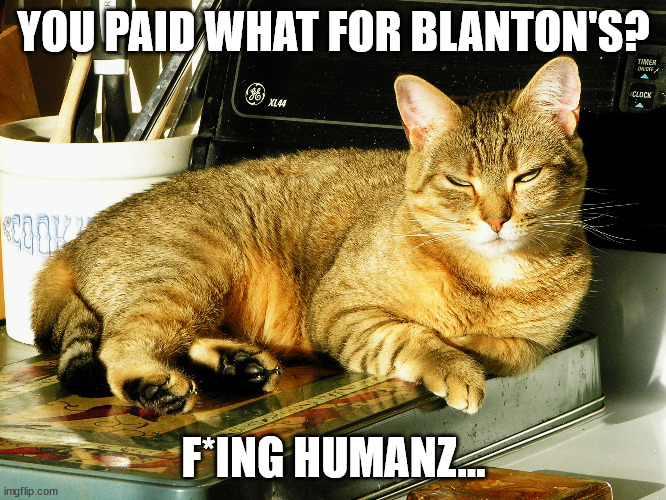 Sour Kitty Blanton's | YOU PAID WHAT FOR BLANTON'S? F*ING HUMANZ... | image tagged in cats | made w/ Imgflip meme maker