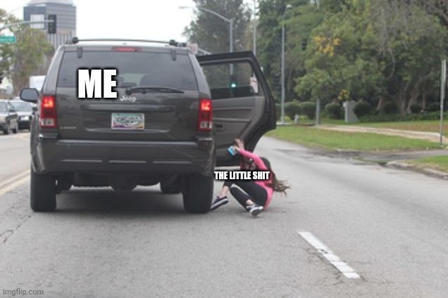 Kicked Out of Car | ME THE LITTLE SHIT | image tagged in kicked out of car | made w/ Imgflip meme maker