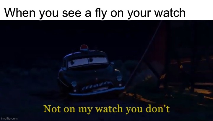 Help | When you see a fly on your watch | image tagged in not on my watch you don't | made w/ Imgflip meme maker