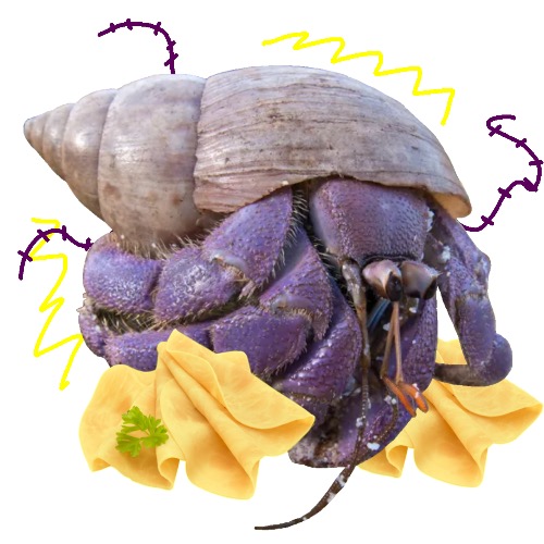 HERMIT PURPLE AND HAMON- | made w/ Imgflip meme maker