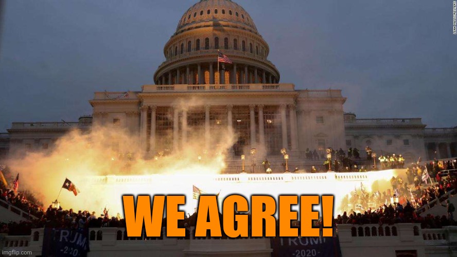 Capitol Uprising | WE AGREE! | image tagged in capitol uprising | made w/ Imgflip meme maker