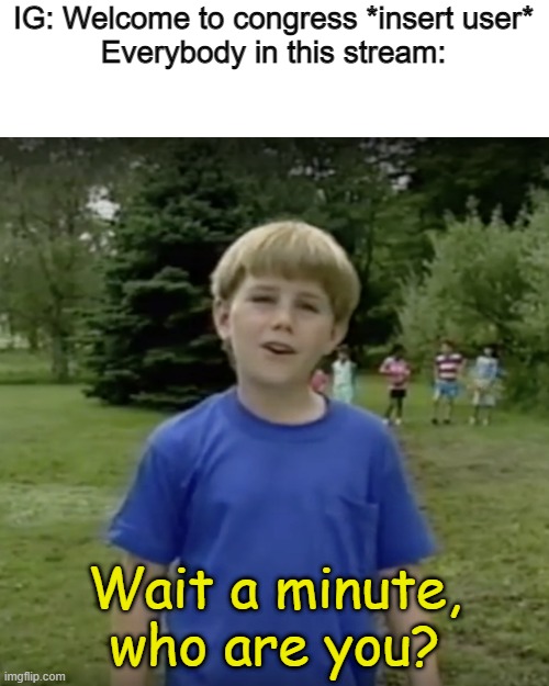 Seriously IG, you have to pick people who are involved in your streams, not just random people who are your friends. | IG: Welcome to congress *insert user*
Everybody in this stream:; Wait a minute, who are you? | image tagged in kazoo kid wait a minute who are you | made w/ Imgflip meme maker