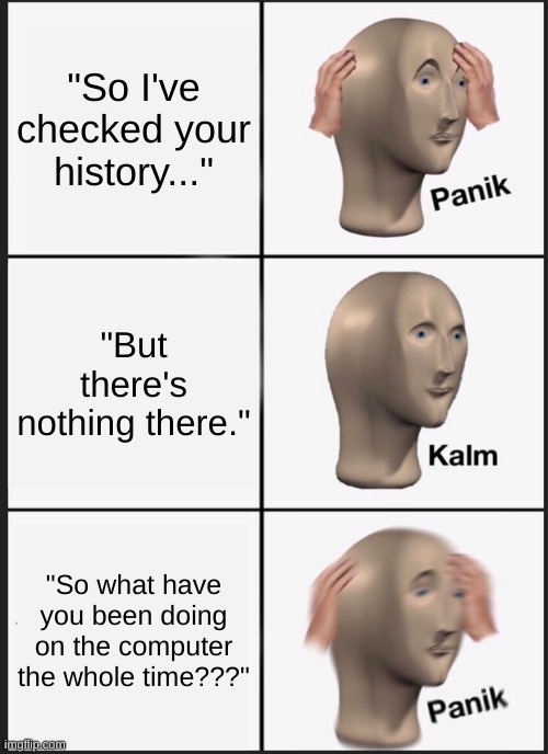 Panik Kalm Panik Meme |  "So I've checked your history..."; "But there's nothing there."; "So what have you been doing on the computer the whole time???" | image tagged in memes,panik kalm panik | made w/ Imgflip meme maker
