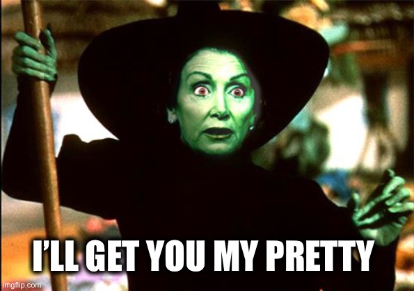 Wicked Pelosi witch | I’LL GET YOU MY PRETTY | image tagged in wicked pelosi witch | made w/ Imgflip meme maker