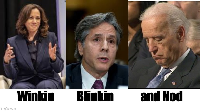 These are our top foreign policy experts! | Winkin          Blinkin            and Nod | image tagged in kamala harris,joe exotic | made w/ Imgflip meme maker