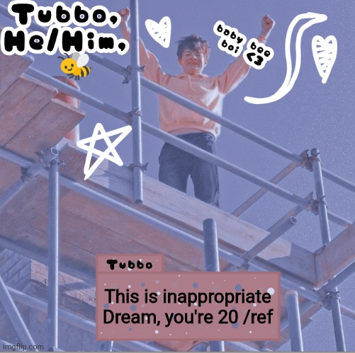 This is inappropriate Dream, you're 20 /ref | image tagged in tubbo | made w/ Imgflip meme maker