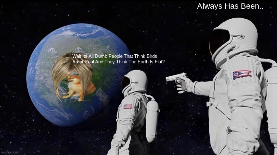 When They Realize Its All Flat Earther's And Bird's Arent Real Thinker's | Always Has Been.. Wait Its All Dumb People That Think Birds Arent Real And They Think The Earth Is Flat? | image tagged in memes,always has been | made w/ Imgflip meme maker