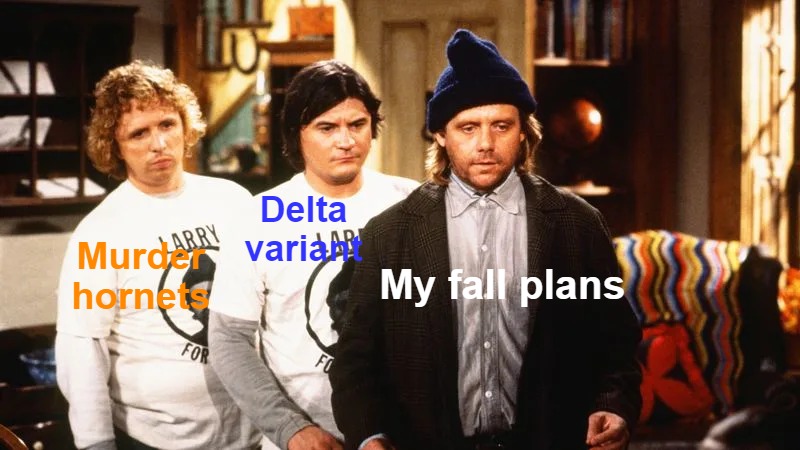 Larry darryl and darryl |  Delta variant; Murder hornets; My fall plans | image tagged in larry darryl and darryl,memes,meme,delta,covid,murder hornets | made w/ Imgflip meme maker