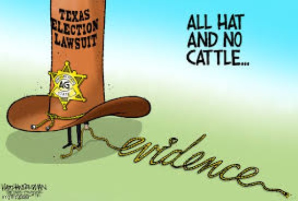 Image Tagged In Texas Election Lawsuit All Hat No Cattle Imgflip