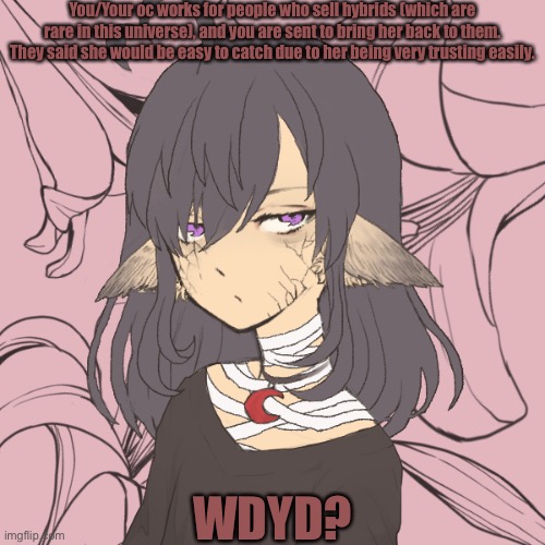 She/Her pronouns for this oc. |  You/Your oc works for people who sell hybrids (which are rare in this universe), and you are sent to bring her back to them. They said she would be easy to catch due to her being very trusting easily. WDYD? | made w/ Imgflip meme maker
