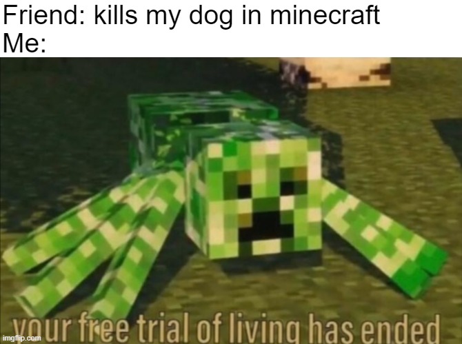 When someone kills my minecraft dog | Friend: kills my dog in minecraft
Me: | image tagged in your free trial of living has ended,minecraft dog | made w/ Imgflip meme maker